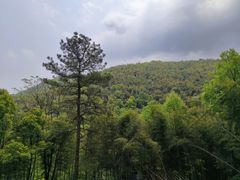 -杭州灵山景区
