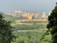 -风云岭森林公园