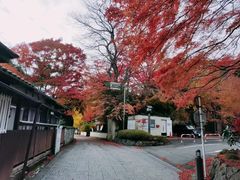 -松岛