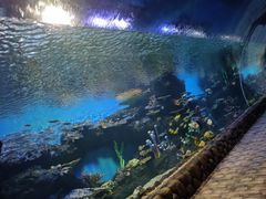 -华夏文旅海洋公园