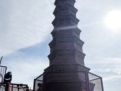 -新疆红山干果市场