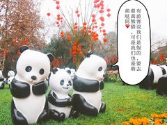 -成都大熊猫繁育研究基地