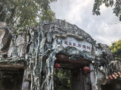 -莫里热带雨林景区