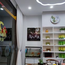 -岳灵生发养发馆