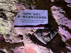 -周口店北京人遗址公园