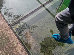 -十渡东湖港风景区