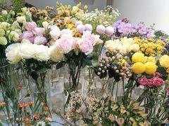-花未央花店·WEYOUNG