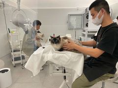 -comecome来吧宠物(奥克斯中心店)