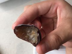 巧克力麻薯-海底捞火锅(泉城路店)