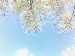 -苏州河梦清园环保主题公园