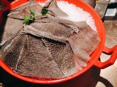 -辣伍鲜毛肚老火锅(元一店)
