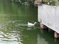 -菜根香土菜馆(文昌东路店)