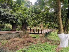-张坝桂圆林公园