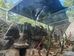-青藏高原野生动物园