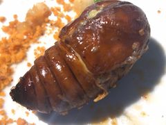 -很久以前羊肉串(昌里路三钢里店)