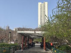 -洛阳周王城天子驾六博物馆