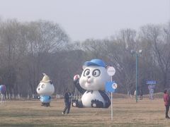 -苏州太湖国家湿地公园