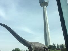 -陕西自然博物馆