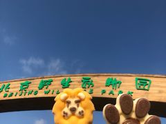 -北京野生动物园