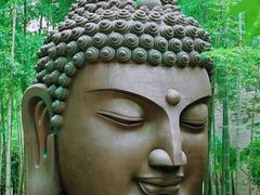 -杭州植物园