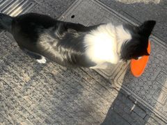 -倦勤咖啡(中山南路店)