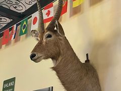 -普兰达德国餐厅·德式脆皮烤猪肘·自酿啤酒(观唐店)