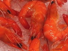 -岷山饭店-芝芝自助餐厅