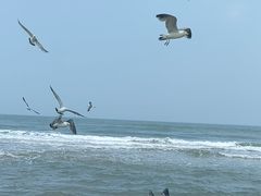 -那香海钻石沙滩浴场
