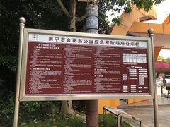 -金花茶公园