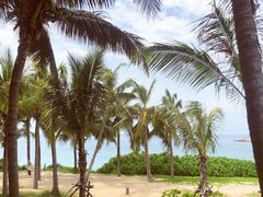 -宴悦海鲜餐厅·游水海鲜·牛排(亚龙湾瑞吉店)