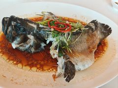 -半岛太子酒家(海港城店)