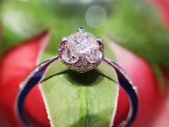 -新世界百货(顺义店)