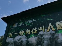 -野象谷景区