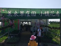 -曲江薰衣草庄园