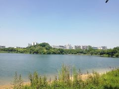 -广东花都湖国家湿地公园