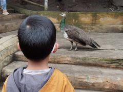 -哈尔滨北方森林动物园