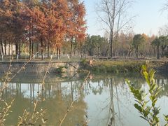 -南翔镇银翔湖公园