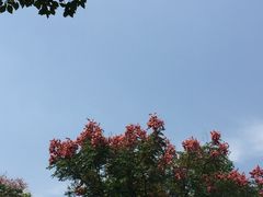 -绍兴鉴湖君澜大酒店
