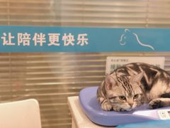 -美迦爱-牙专科·兔科·骨科诊疗中心(北苑店)