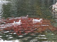 -水磨沟公园