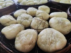 -舒小笼松针小笼包