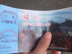 -塔川景区