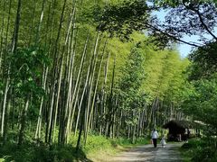 -黄公望隐居地