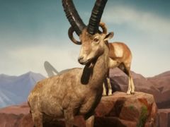 -陕西自然博物馆