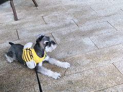 -星巴克(成都科学城店)