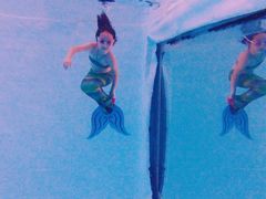 -上海潜殿潜水中心