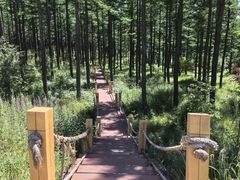 -塞罕坝国家级自然保护区