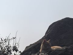 -圌山