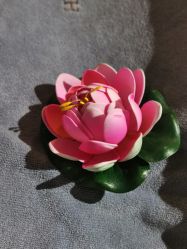 -娇玫荟SPA