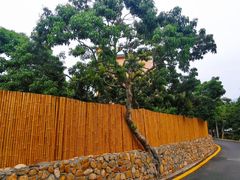 -梧桐山风景名胜区